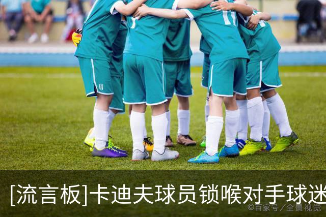 [流言板]卡迪夫球员锁喉对手球迷，被英足总禁赛2场、罚款1万镑